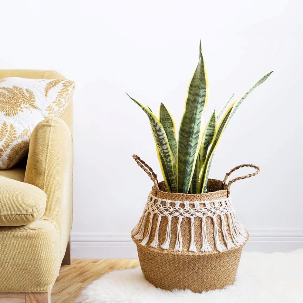 Panier Macramé Panier en osier Macramé Chic & Nature