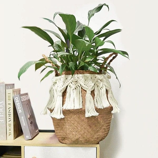 Panier Macramé Panier Macramé Élégance