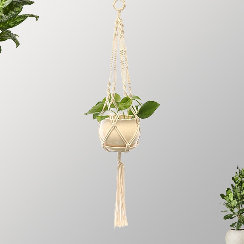 Suspension Macramé Macramé Éclat pour Suspendre Vos Plantes