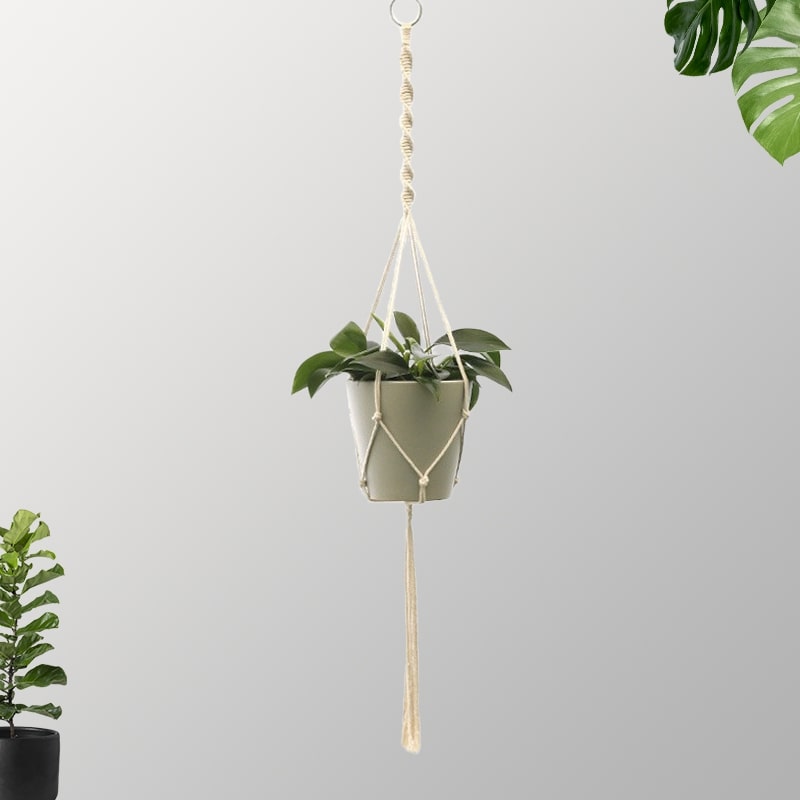 Suspension Macramé Plante Suspension Macramé Éclat pour Cuisine