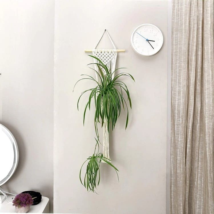 Suspension Macramé Porte-plante mural en Macramé Éléganza